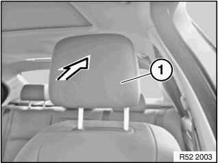 Airbag Generator/Airbag Unit For Pass